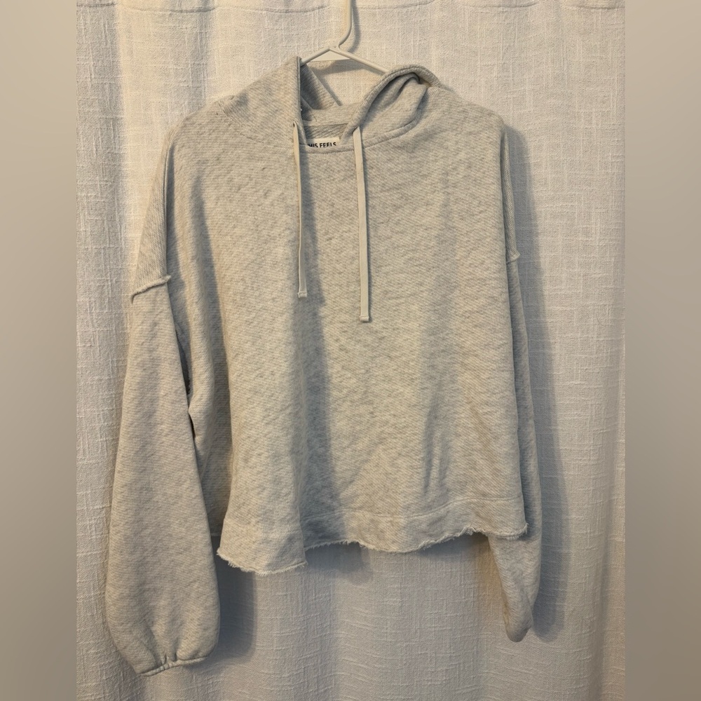 American Eagle Outfitters Light Gray Hoodie
